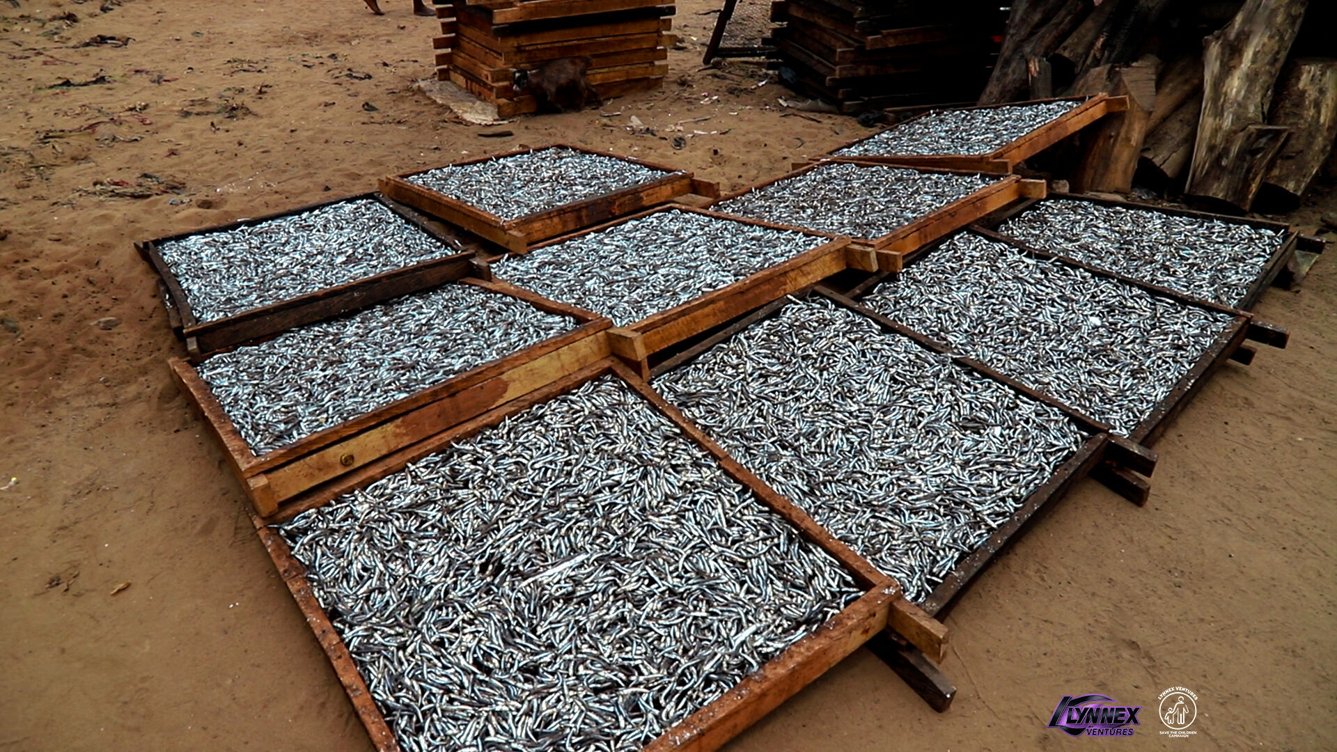 Home 12 optimized.jpg